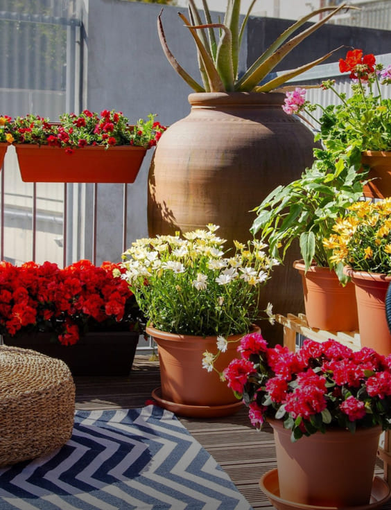 Macetas y jardineras